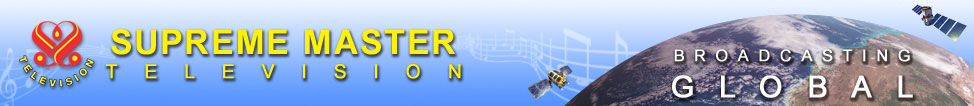 BANNER.jpg